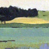 Blue Fields